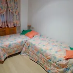 Apartamentos Formigal Apartment Formigal