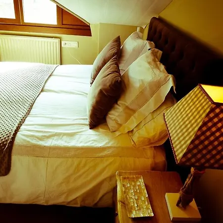 Apartamentos Formigal *