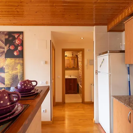 Apartamentos Formigal Apartment Formigal