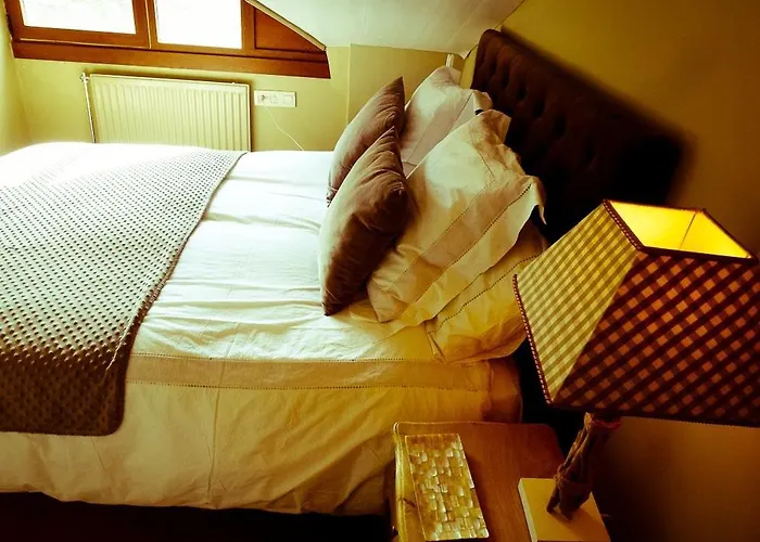 Apartamentos Formigal *